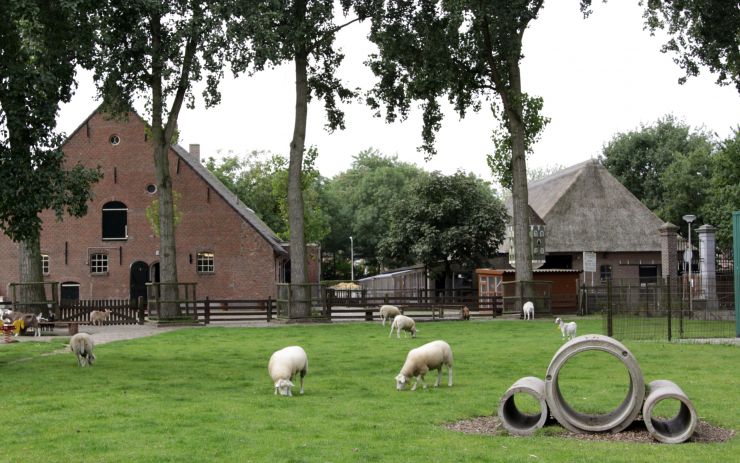 Minnebeek