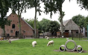 Minnebeek