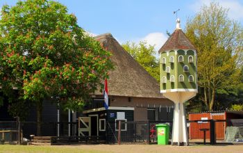 De Wiek